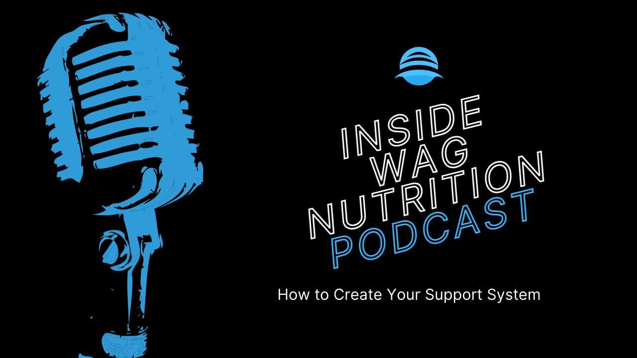 How to Create Your Support System