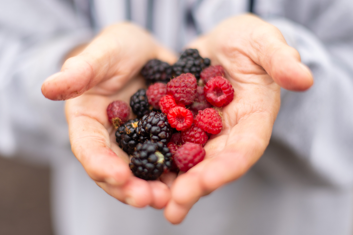 What Should I Eat to Support My Immune System?