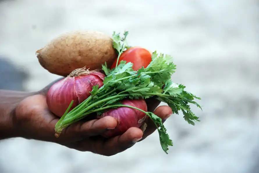 IIFYMicros: Why Are Micronutrients Important?