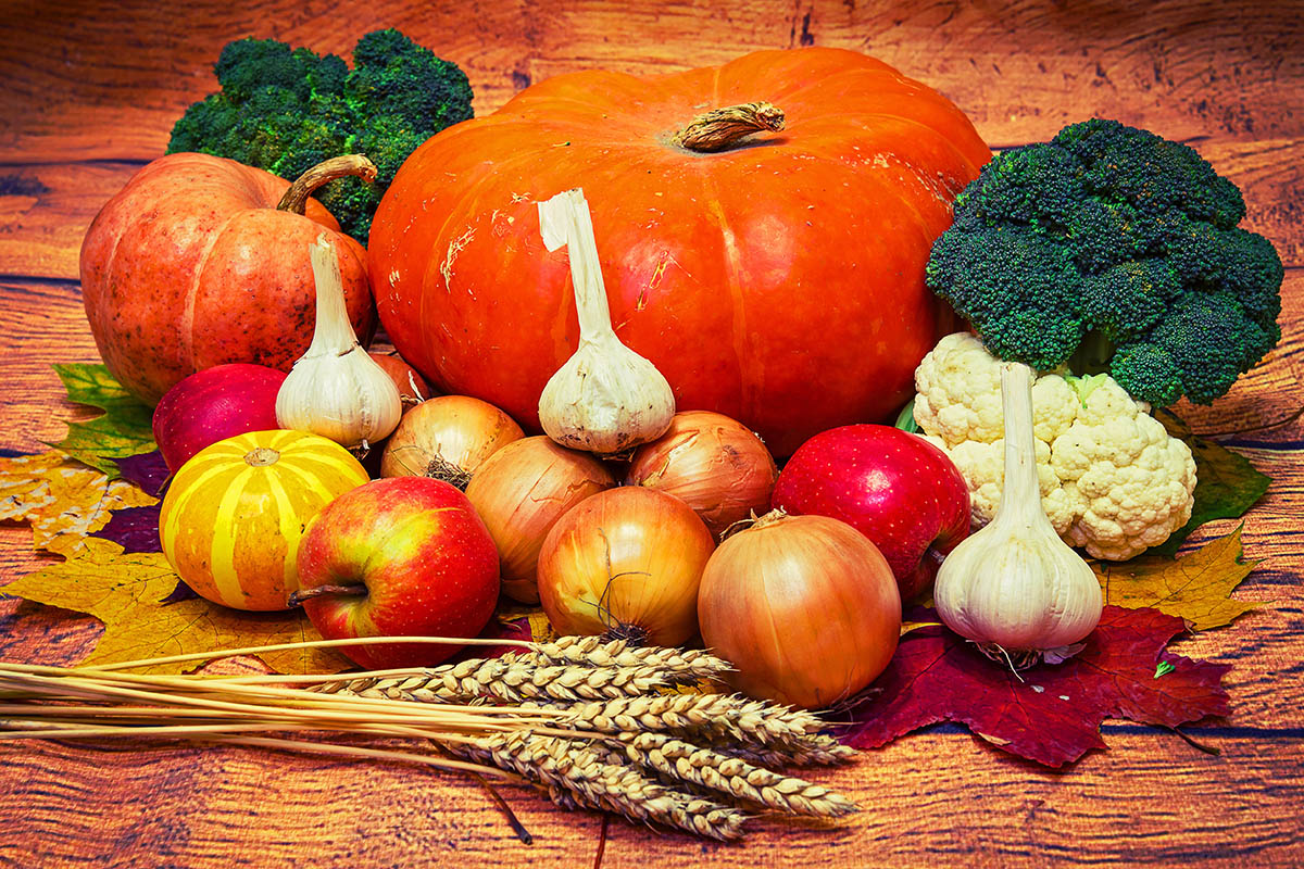 winterproduce.jpg (1)