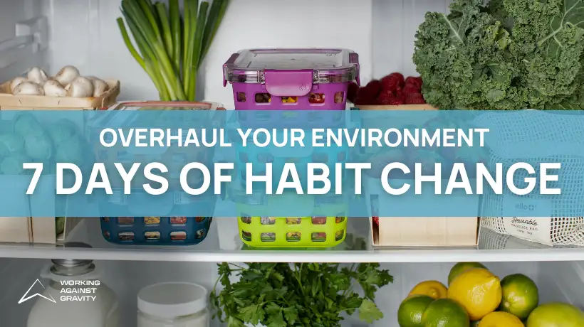 7 Day Environmental Guide Thumbnail
