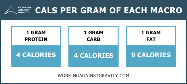 calories per gram of each macronutrient