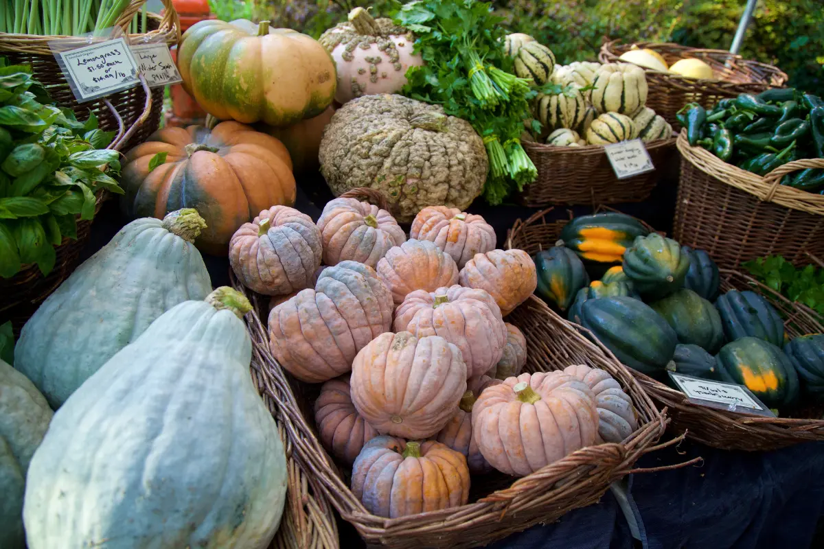 Vegetables