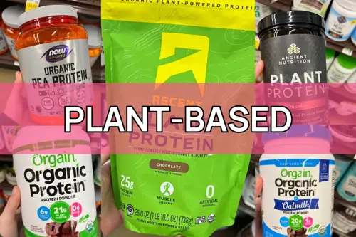 plant based protein