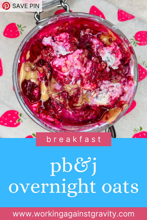 WAG Nutrition PB+J Overnight Oats