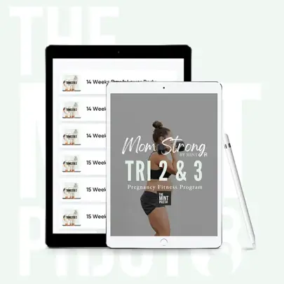 MINT Prjct Mom Strong Program