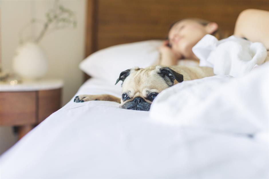 Maximize your sleep game for optimal progress!.jpg (1)