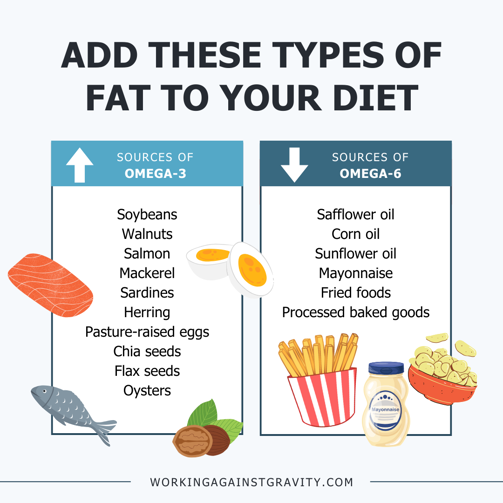 omega 3 fats vs omega 6 fats