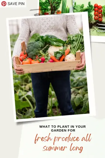 what to plant in your garden
